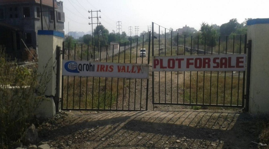 Aarohi Iris Valley