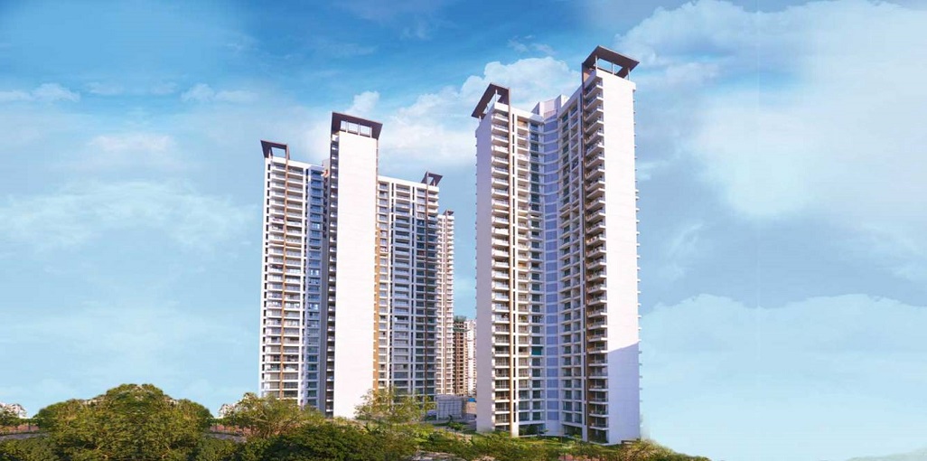 Runwal Anthurium Valentine