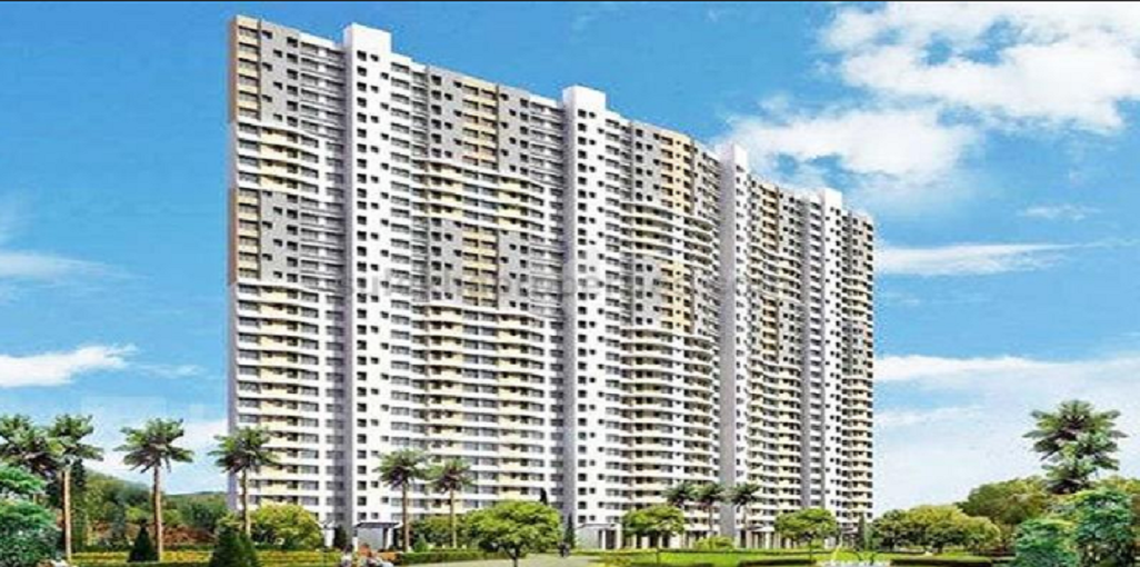 Hubtown Seasons Ecuador Cloud