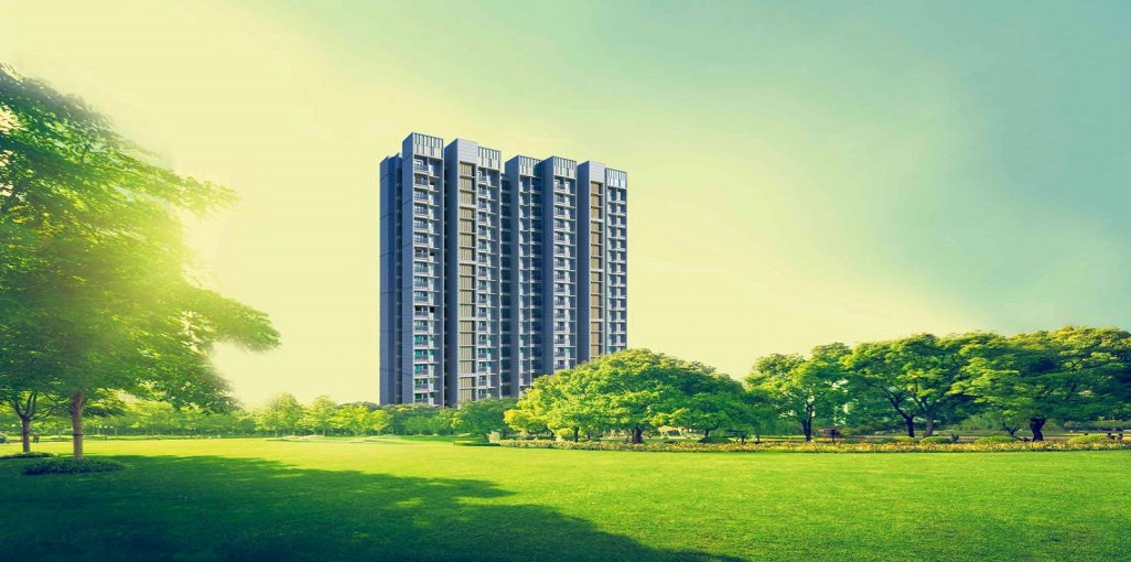 Dosti Desire Dosti Joy