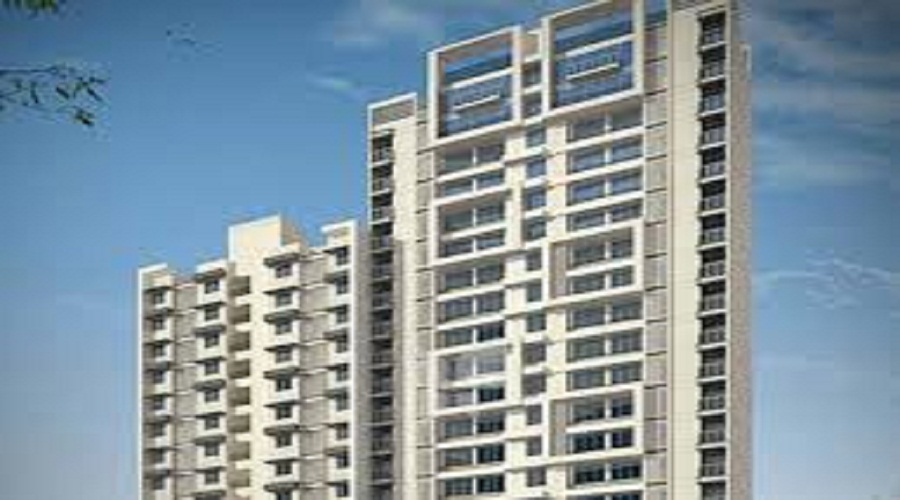 Schema Tropical Elite