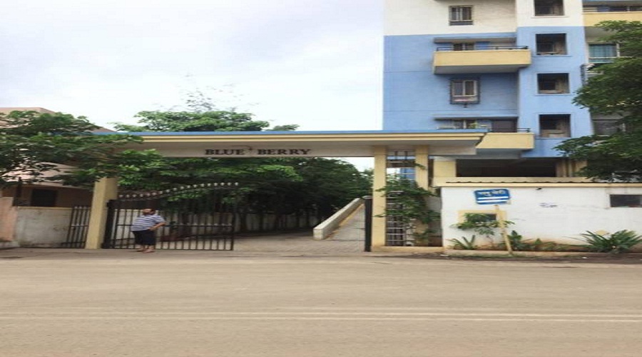 Blueberry Homes Blueberry