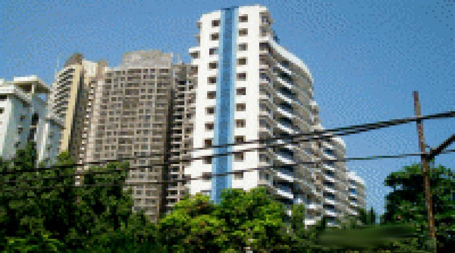 Benchmark Silver Leaf CHS