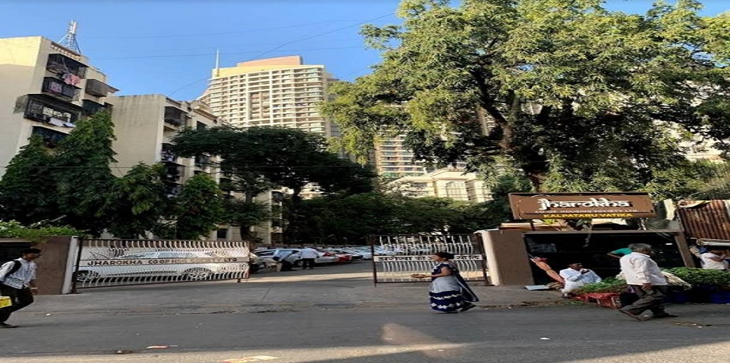 Kalpataru Jharokha II