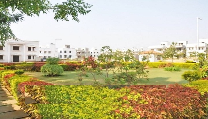 Gallery 2