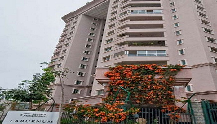 Brigade Millennium Laburnum