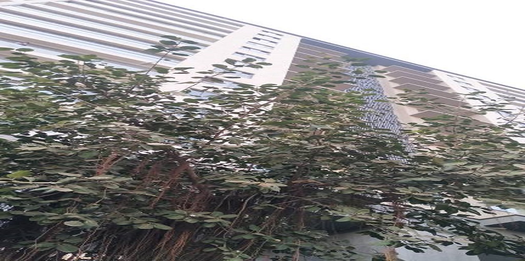 Rustomjee Elements Wing SG