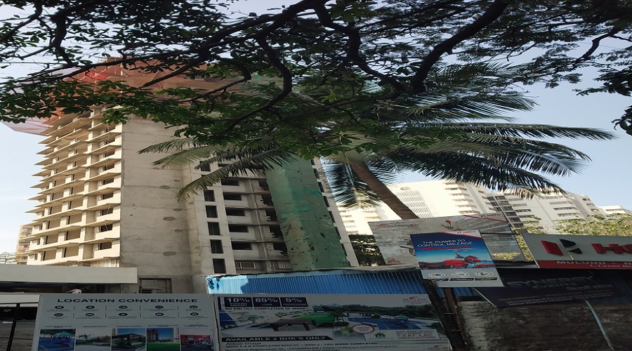 Skyline Sparkle Wing C