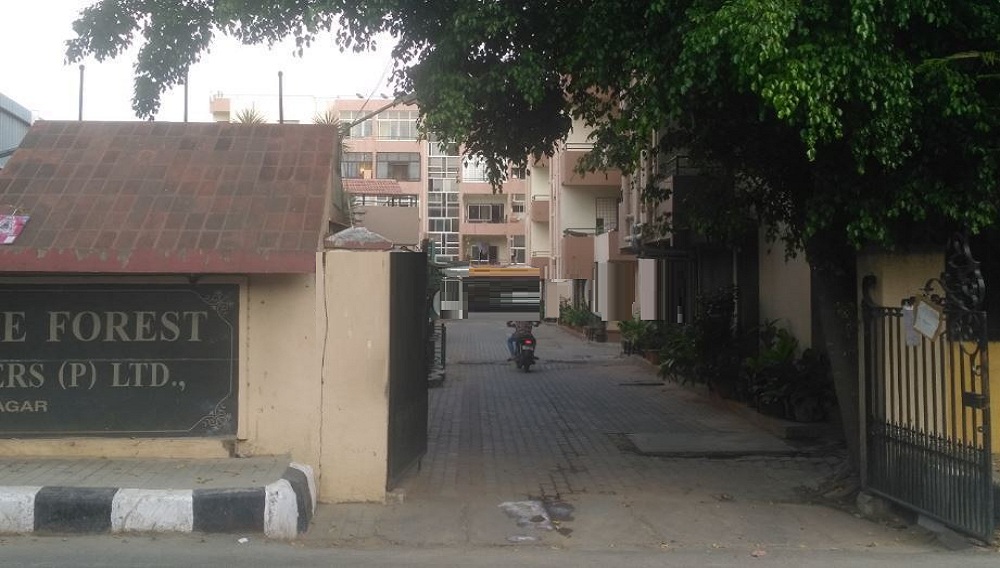 Daya MK Green Skies Blue Forest