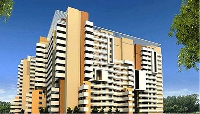 Duo Associates Duo Symphony