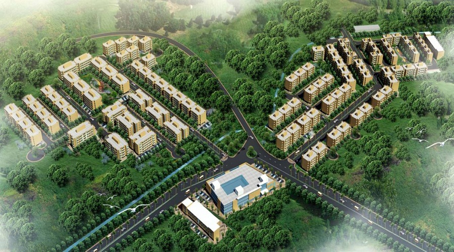 Enkay Garden Daisy Daliya