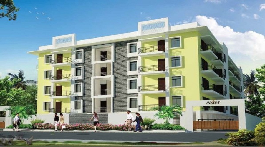 Omega Heritage Aster