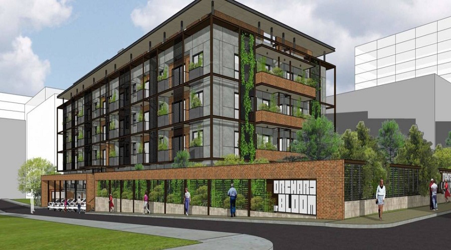 Inner Orchard In Bloom