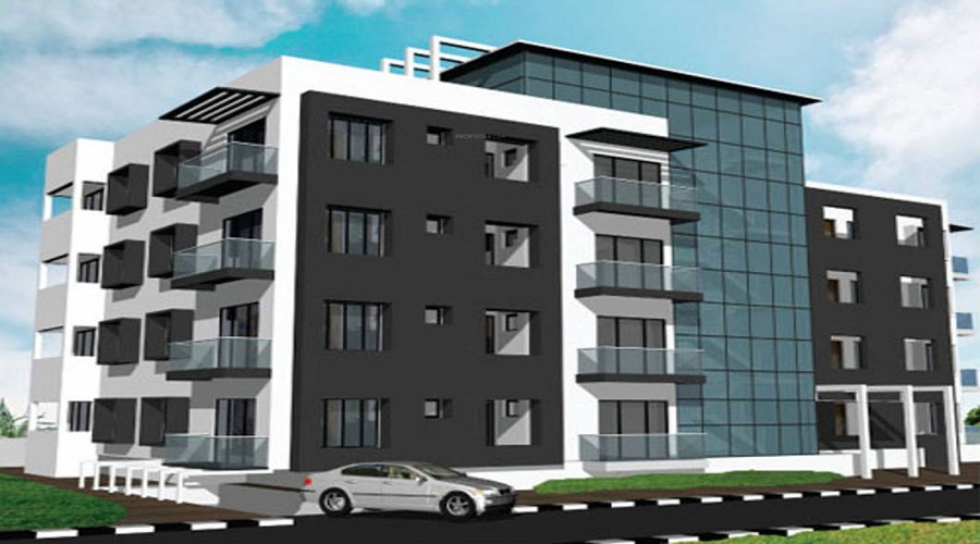 Trine Holdings Palm Heights