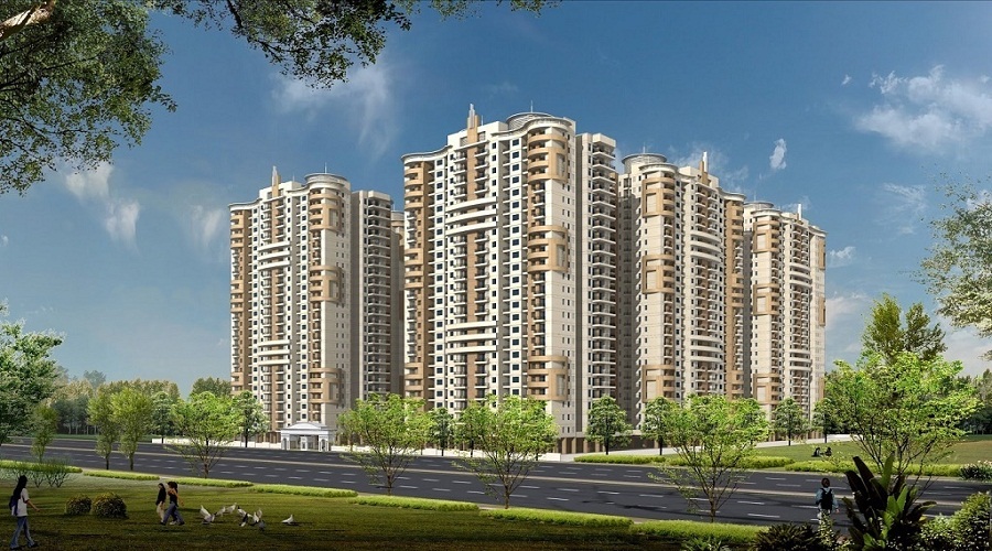 Primrose Primrose Ryne Phase II