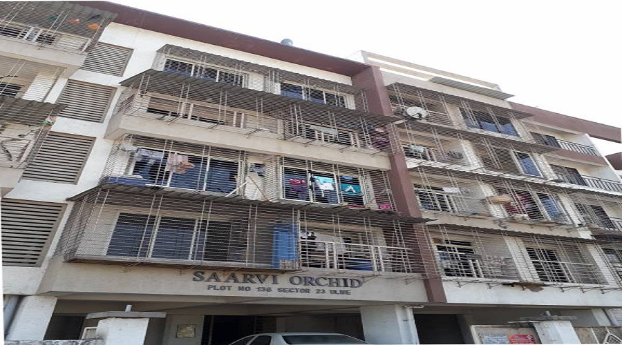 Saarvi Saarvi Orchid