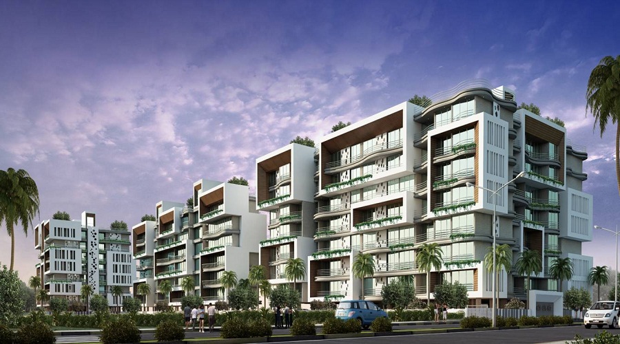 Team Bellagio LVL Next