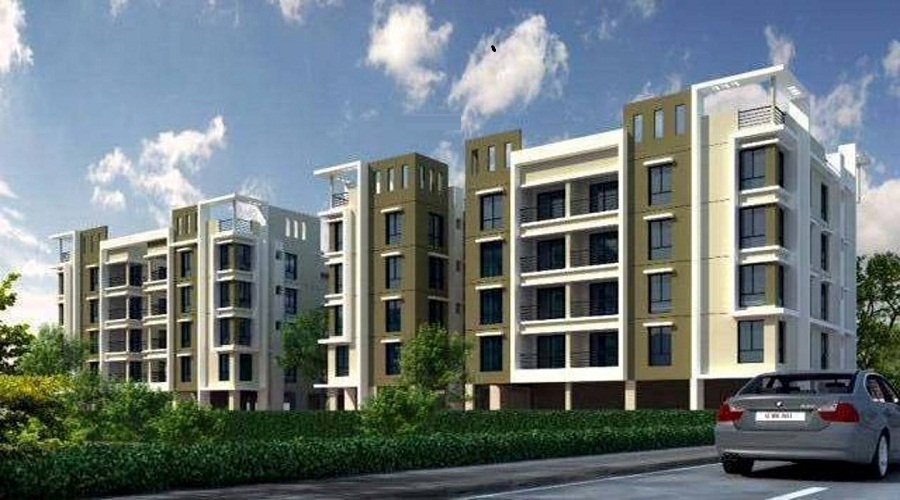 Pearl Shivoham Gardenia