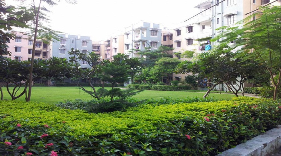 Reside Aponaloy Phase II