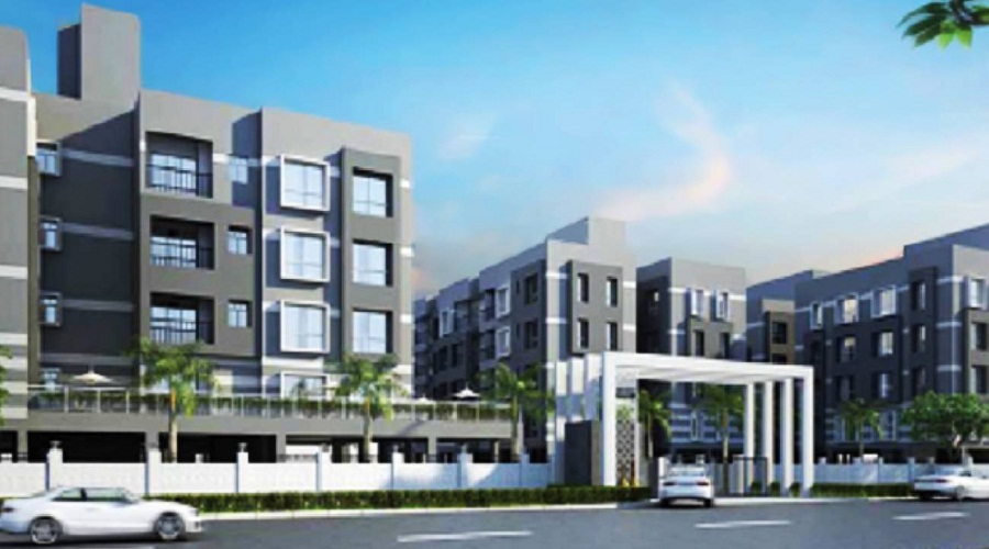 Manbhari Palm Lsland