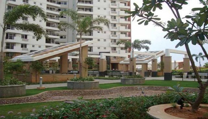 Gallery 3