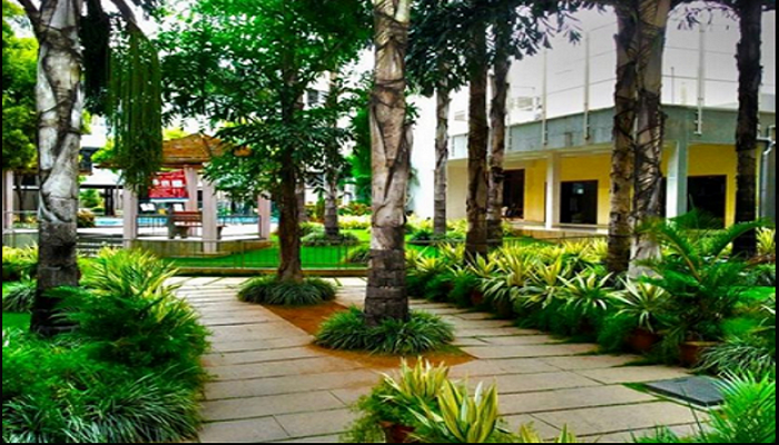 Gallery 2