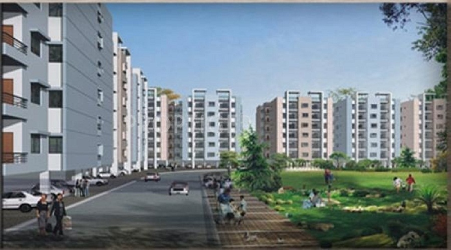 Kalindi Nilgiri Enorma