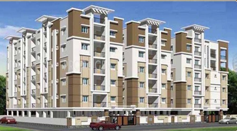 Asvasidh Asvasidh Adobe