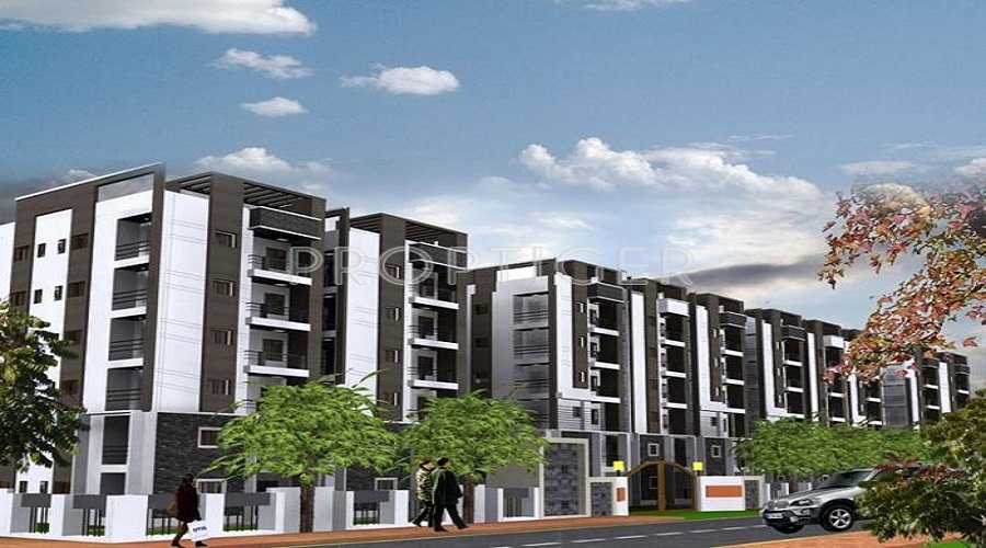 Amulya Amulya Fortune