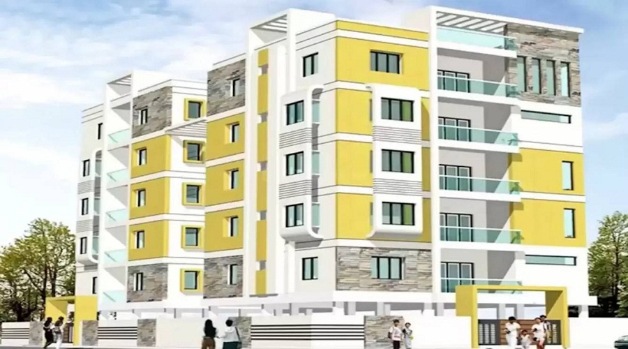 Anuhar Yellow Blooms