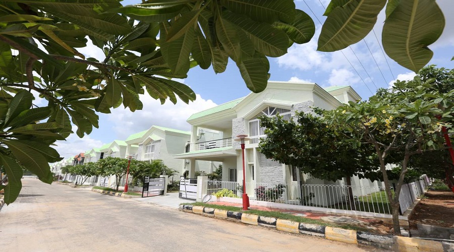 Saket Bhusatva Ph IV