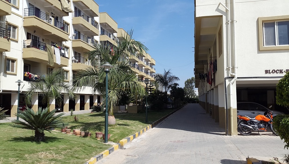 SLS Developers Sunflower