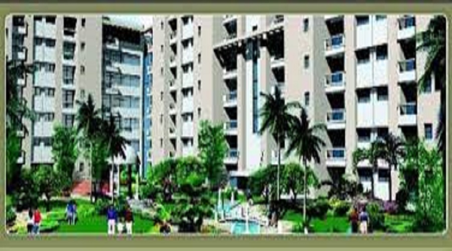 Sliver Silver City Height