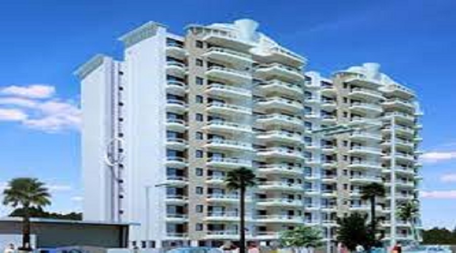 Sliver Silver City Greens