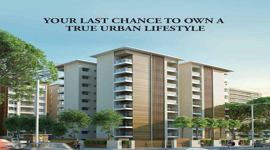 Morzaria Grandeur II