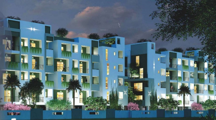 Trendsquare Precioso