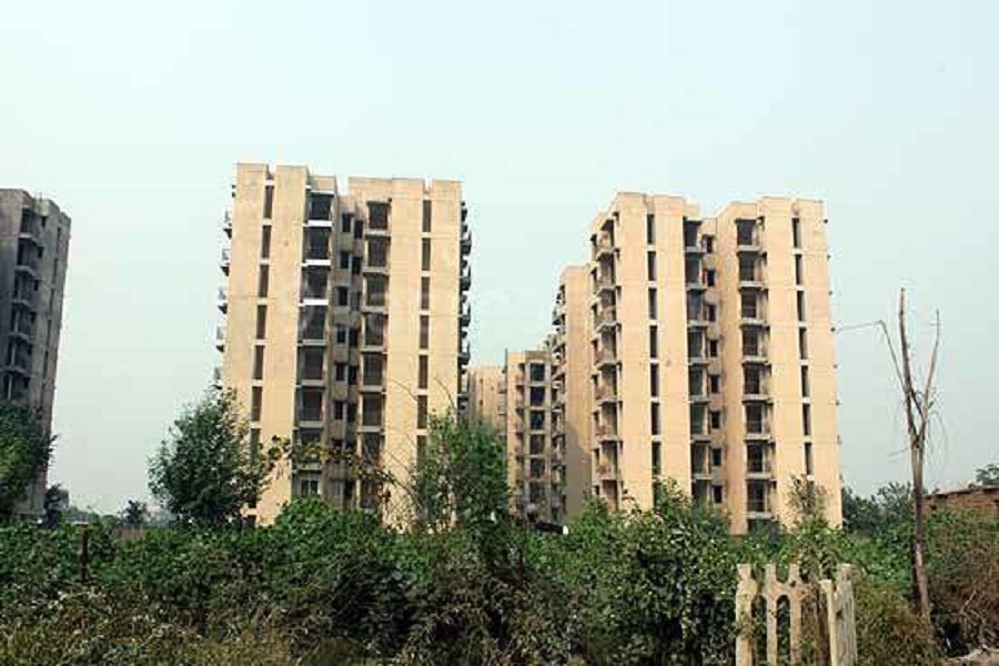 GPM Developers Bloosom Greens