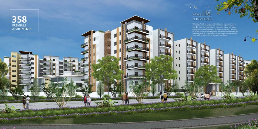 Crown Whistling Woods