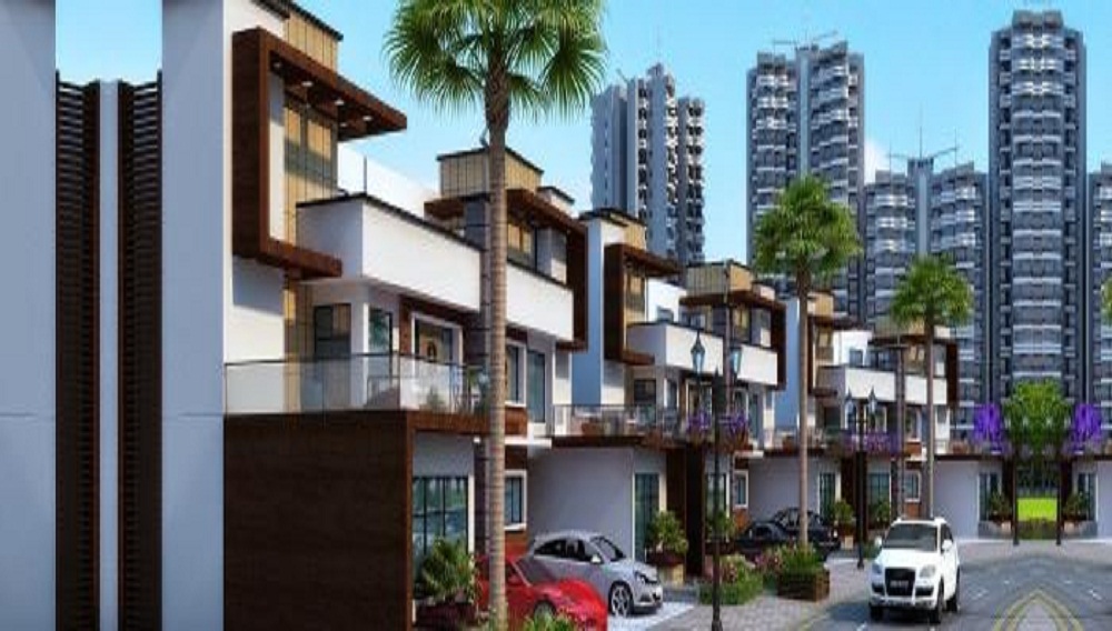 Renowned Lotus Aroma