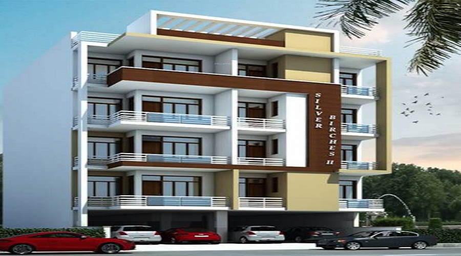 SSD Silver Birches 2