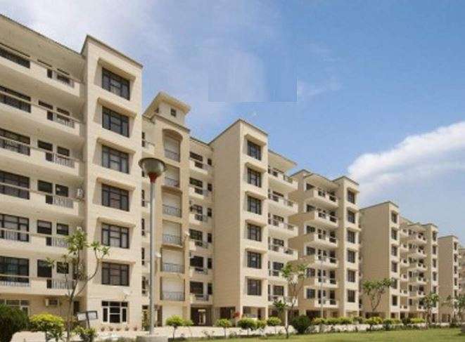 Pioneer Acme Heights