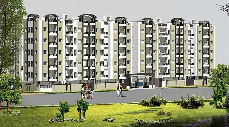 Royal Splashing Meadows