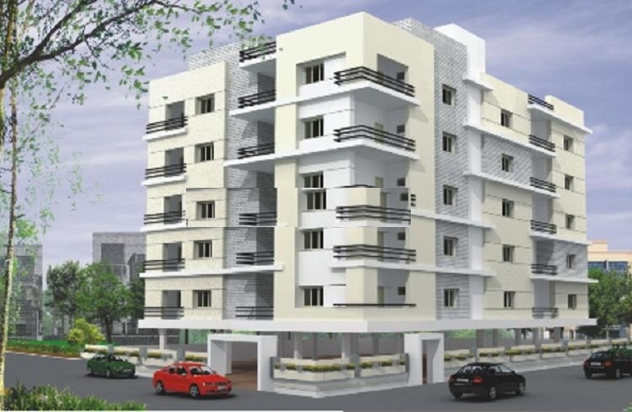 Goldfish White Waters