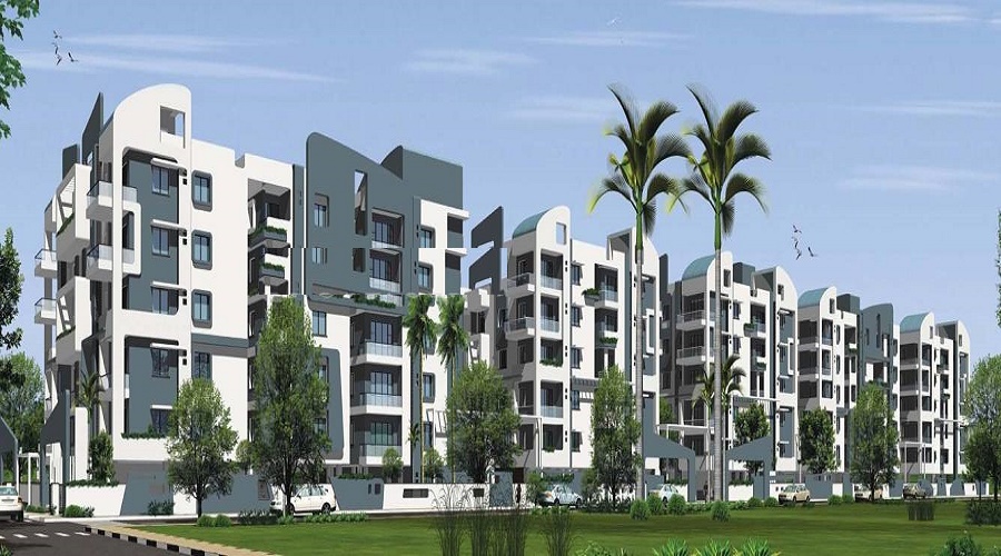 RSRPPL 4 Square Elegant