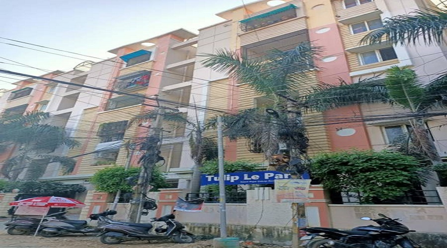 Landlord Tulip Le Park