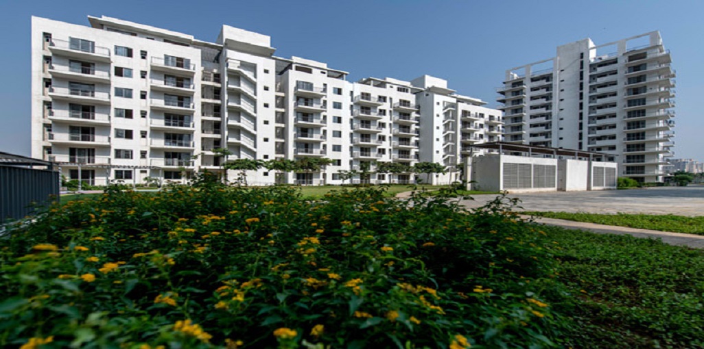 Vatika Sovereign Next