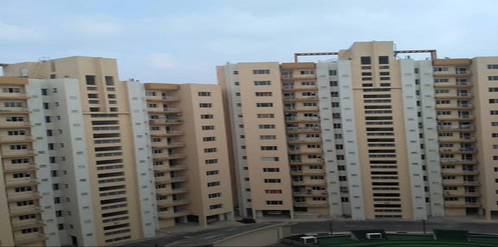 Orris Carnation Residency