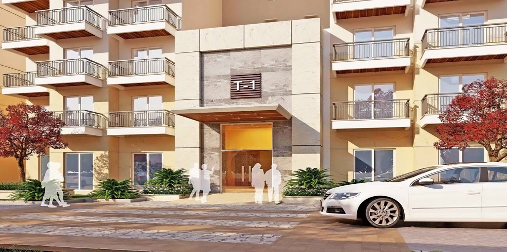 Ashiana White Petals