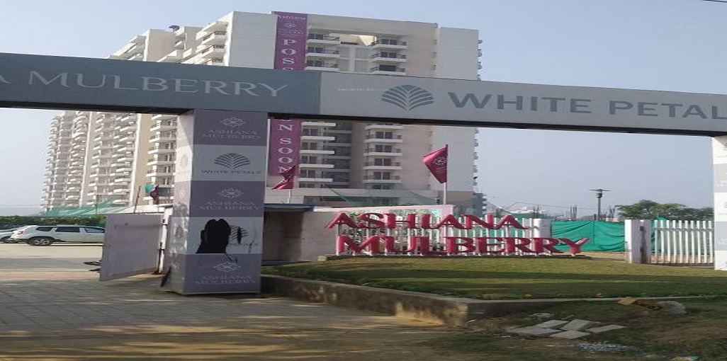 Ashiana White Petals