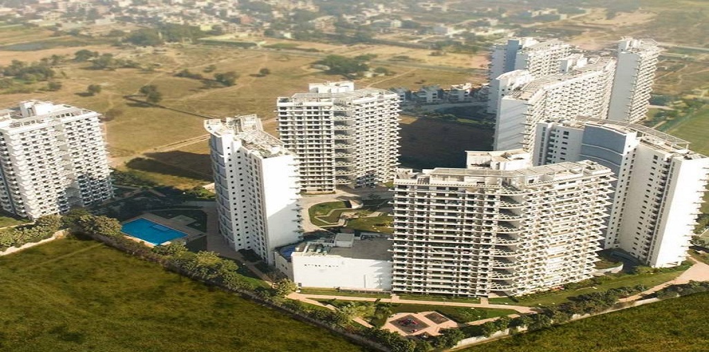 Project name